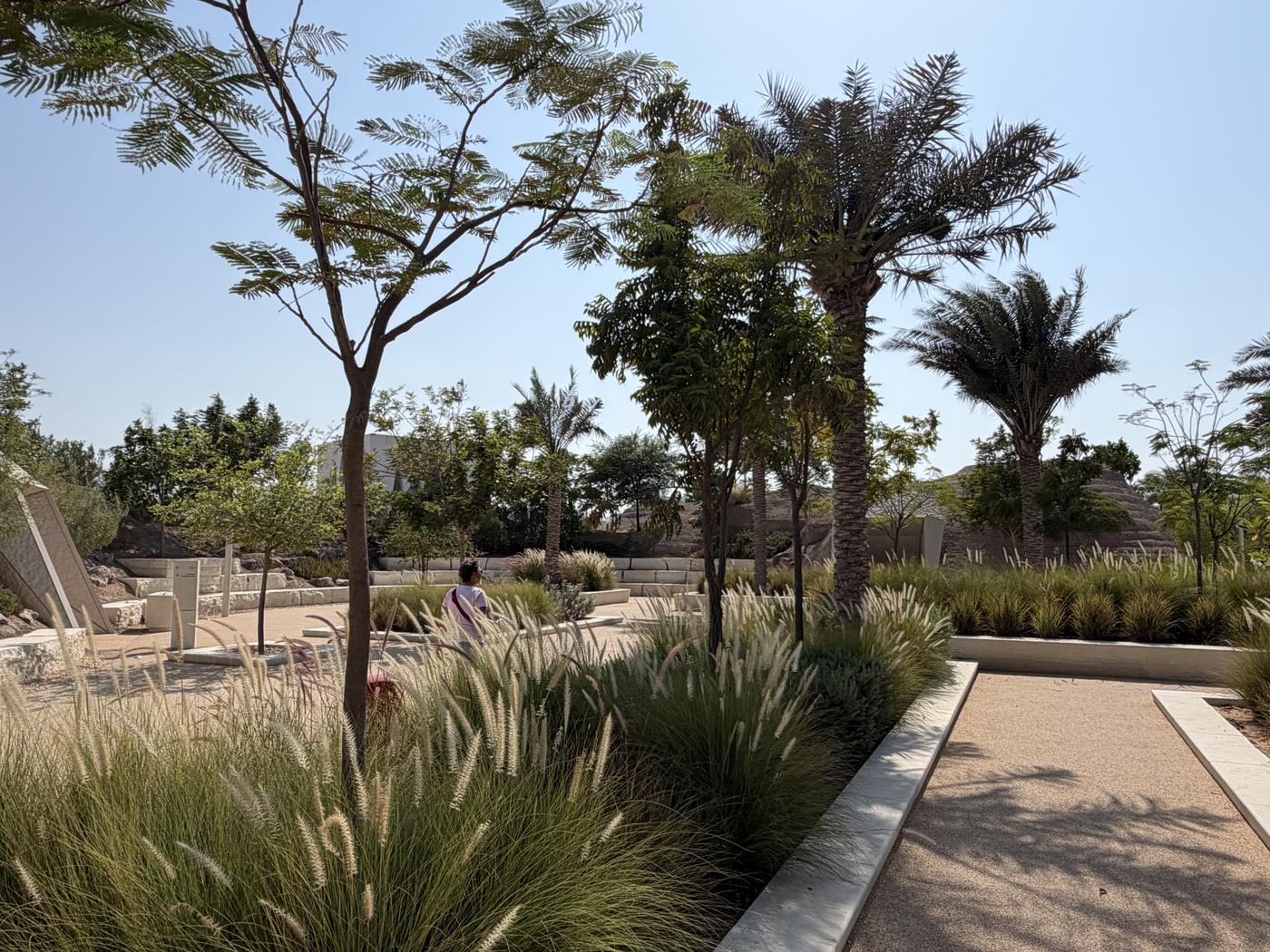 Garten mit Palmen und Gräsern